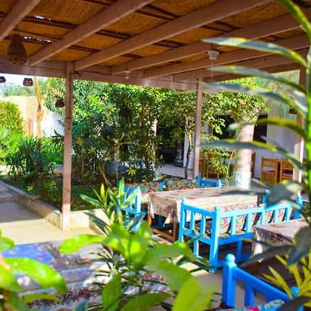 Rose Guest House Λούξορ Εξωτερικό φωτογραφία