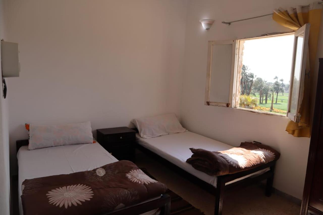 Rose Guest House Λούξορ Εξωτερικό φωτογραφία