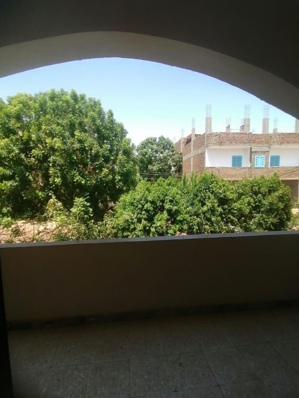 Rose Guest House Λούξορ Εξωτερικό φωτογραφία