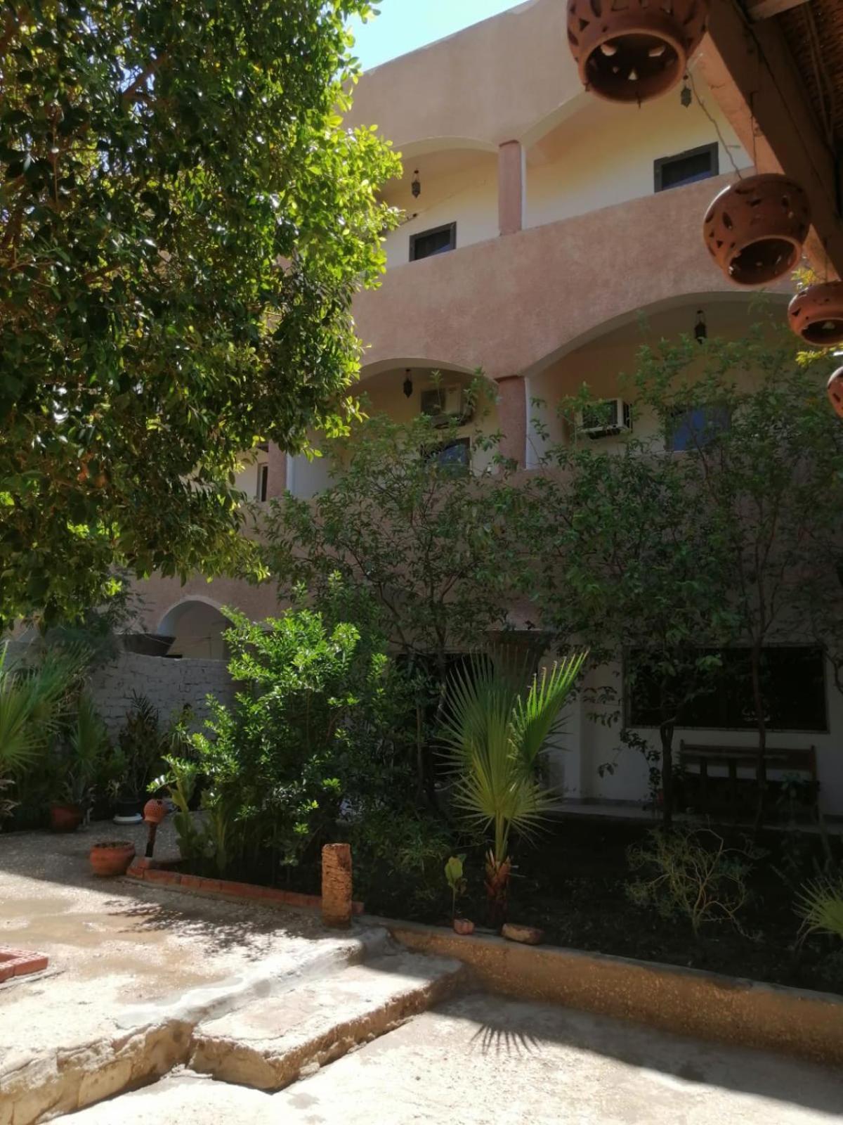 Rose Guest House Λούξορ Εξωτερικό φωτογραφία