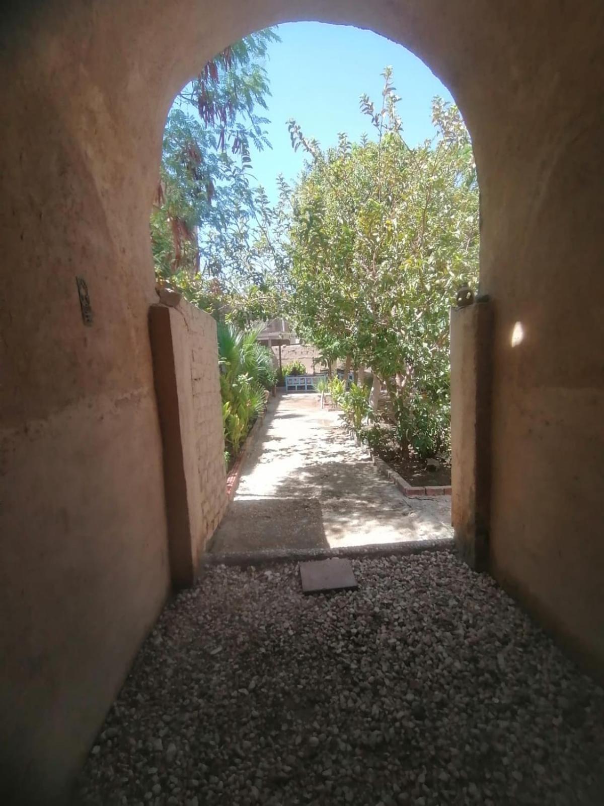Rose Guest House Λούξορ Εξωτερικό φωτογραφία