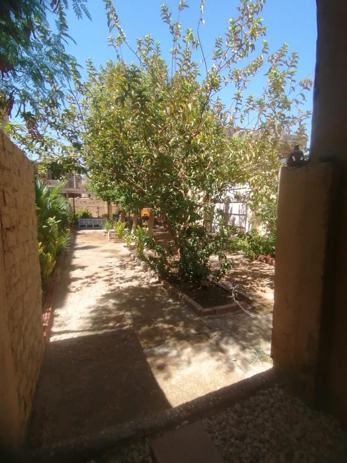 Rose Guest House Λούξορ Εξωτερικό φωτογραφία