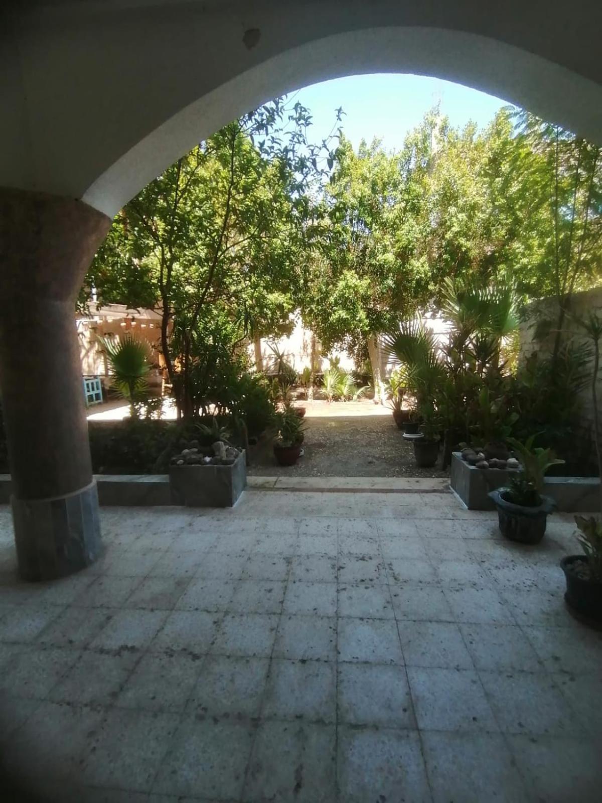 Rose Guest House Λούξορ Εξωτερικό φωτογραφία