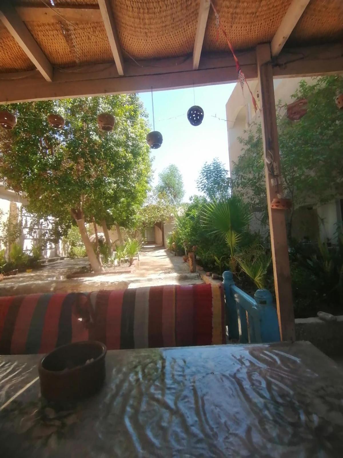 Rose Guest House Λούξορ Εξωτερικό φωτογραφία