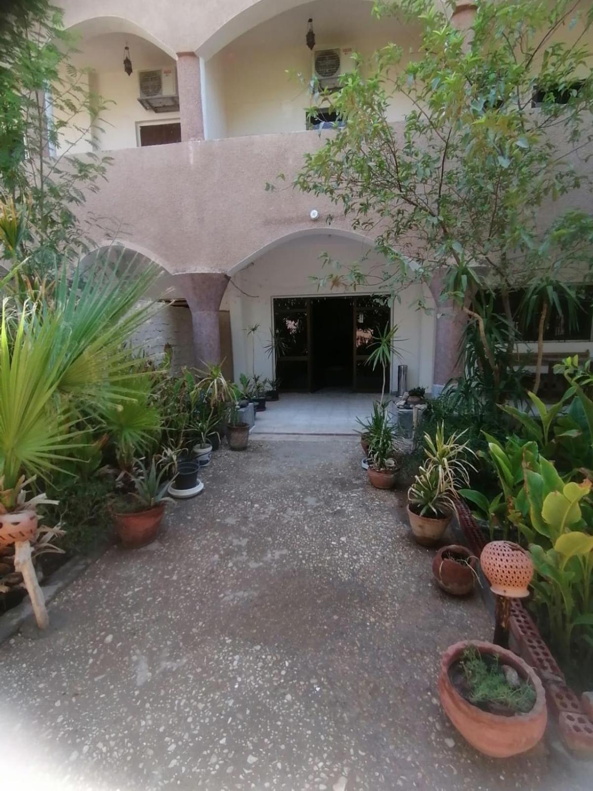 Rose Guest House Λούξορ Εξωτερικό φωτογραφία