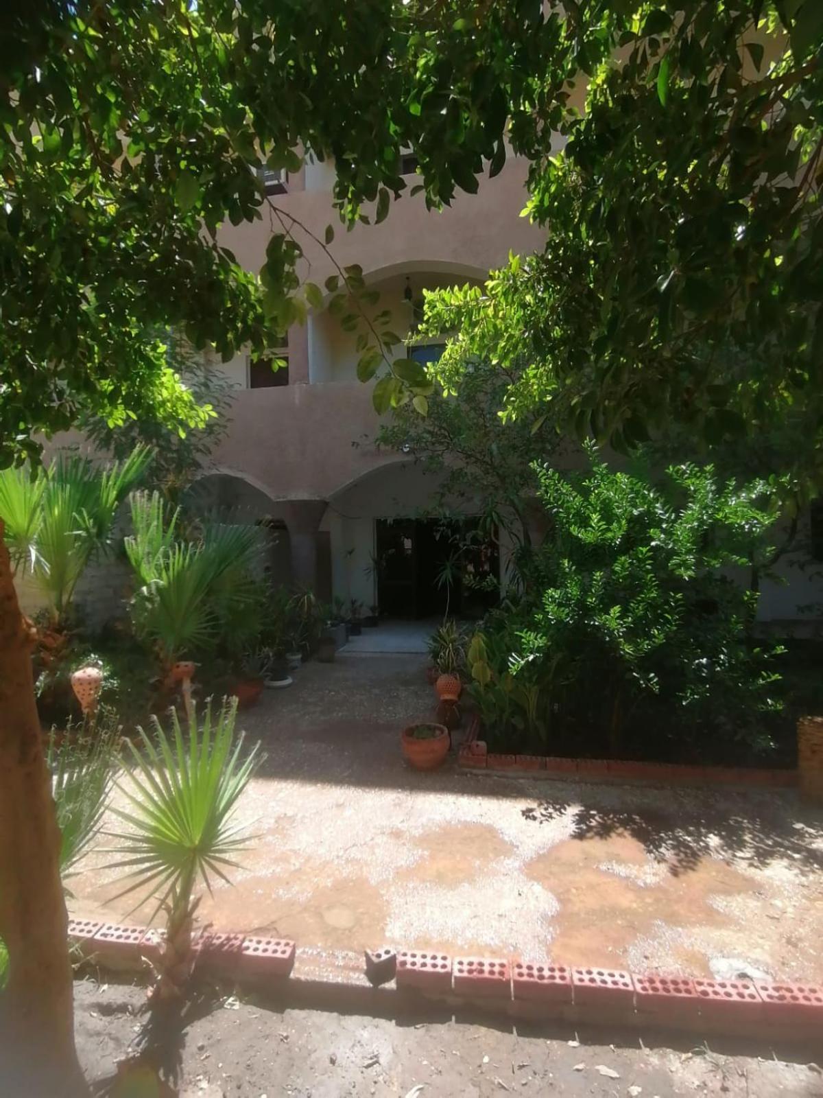 Rose Guest House Λούξορ Εξωτερικό φωτογραφία