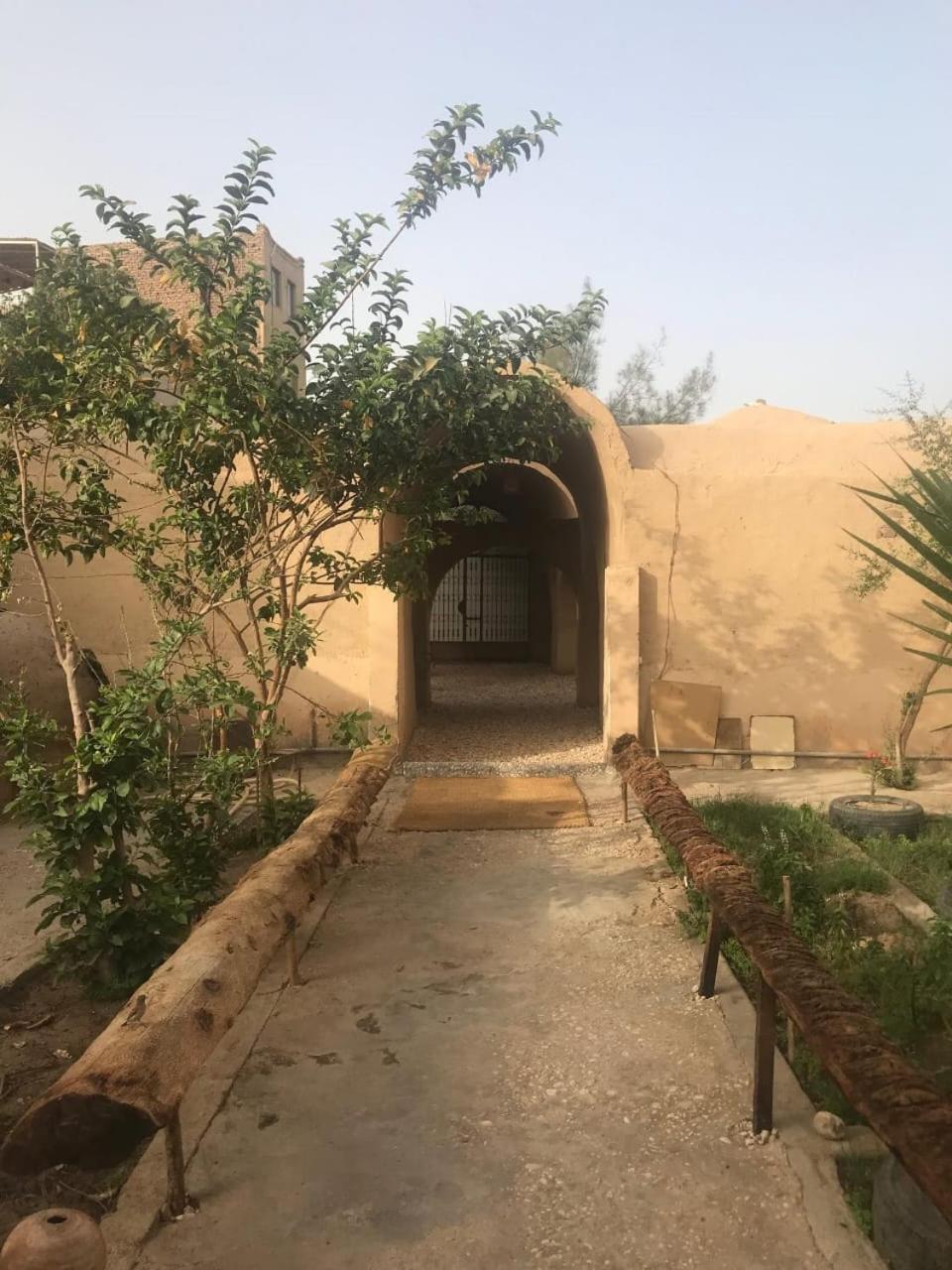 Rose Guest House Λούξορ Εξωτερικό φωτογραφία